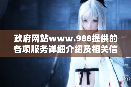 政府网站www.988提供的各项服务详细介绍及相关信息解读
