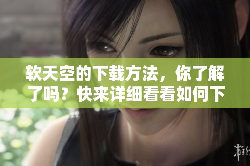 软天空的下载方法，你了解了吗？快来详细看看如何下载软天空吧！