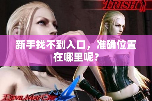 新手找不到入口，准确位置在哪里呢？