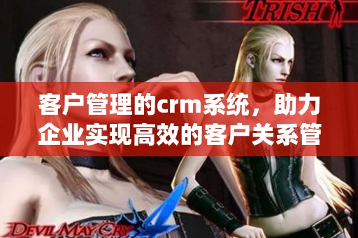 客户管理的crm系统，助力企业实现高效的客户关系管理