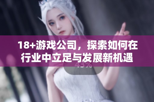 18+游戏公司，探索如何在行业中立足与发展新机遇