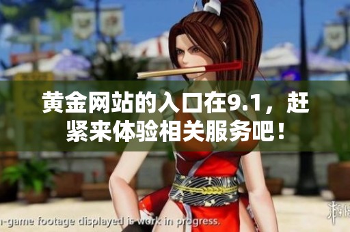 黄金网站的入口在9.1，赶紧来体验相关服务吧！