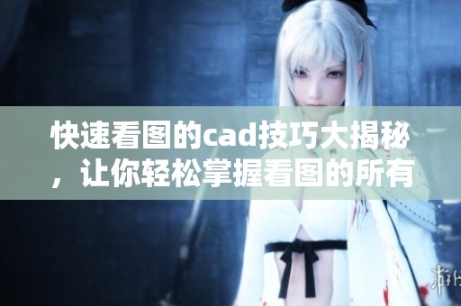 快速看图的cad技巧大揭秘，让你轻松掌握看图的所有要点
