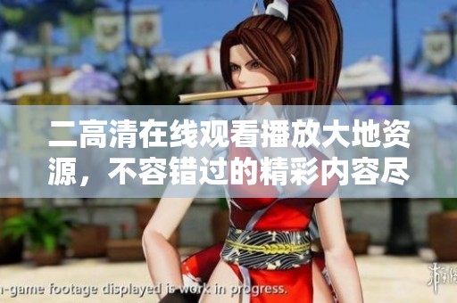 二高清在线观看播放大地资源，不容错过的精彩内容尽在其中