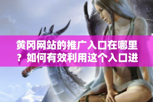 黄冈网站的推广入口在哪里？如何有效利用这个入口进行网站推广？