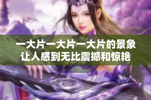 一大片一大片一大片的景象让人感到无比震撼和惊艳