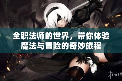 全职法师的世界，带你体验魔法与冒险的奇妙旅程