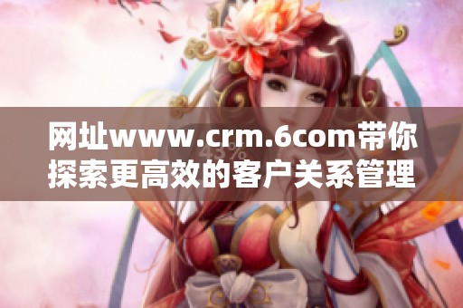网址www.crm.6com带你探索更高效的客户关系管理解决方案，提升你的业务水平。