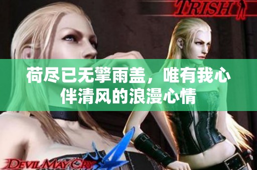 荷尽已无擎雨盖，唯有我心伴清风的浪漫心情