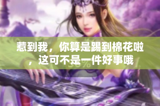 惹到我，你算是踢到棉花啦，这可不是一件好事哦