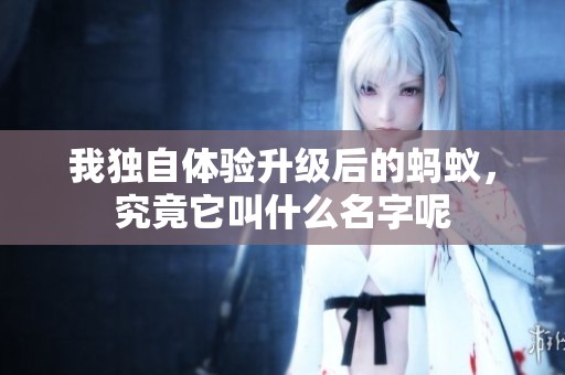 我独自体验升级后的蚂蚁，究竟它叫什么名字呢