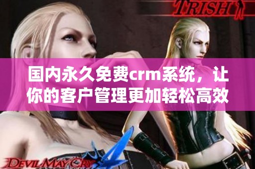 国内永久免费crm系统，让你的客户管理更加轻松高效