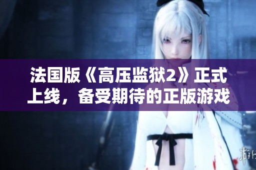 法国版《高压监狱2》正式上线，备受期待的正版游戏来了