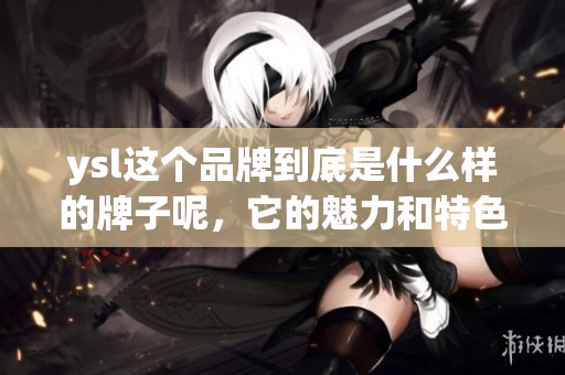 ysl这个品牌到底是什么样的牌子呢，它的魅力和特色是什么呢