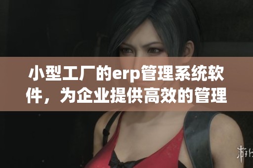 小型工厂的erp管理系统软件，为企业提供高效的管理解决方案