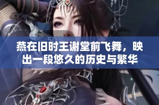 燕在旧时王谢堂前飞舞，映出一段悠久的历史与繁华