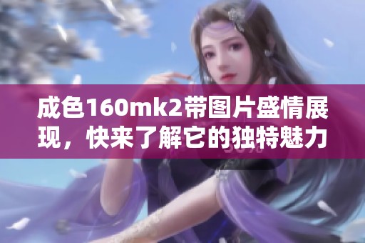 成色160mk2带图片盛情展现，快来了解它的独特魅力与特点！