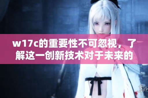 w17c的重要性不可忽视，了解这一创新技术对于未来的影响。