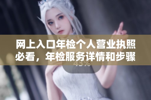 网上入口年检个人营业执照必看，年检服务详情和步骤解析