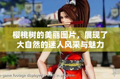 樱桃树的美丽图片，展现了大自然的迷人风采与魅力