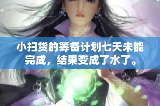 小扫货的筹备计划七天未能完成，结果变成了水了。