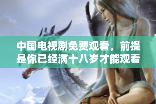 中国电视剧免费观看，前提是你已经满十八岁才能观看