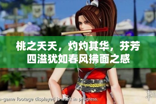 桃之夭夭，灼灼其华，芬芳四溢犹如春风拂面之感