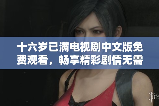 十六岁已满电视剧中文版免费观看，畅享精彩剧情无需付费！