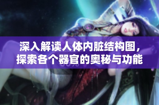 深入解读人体内脏结构图，探索各个器官的奥秘与功能