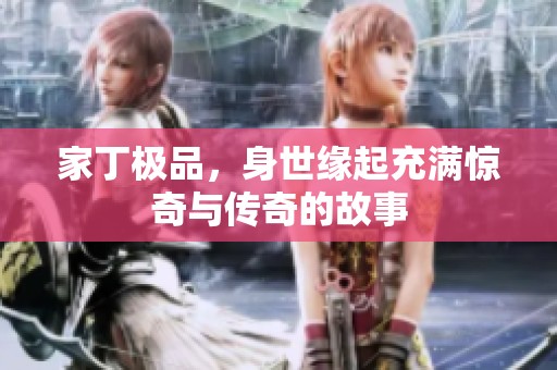 家丁极品，身世缘起充满惊奇与传奇的故事