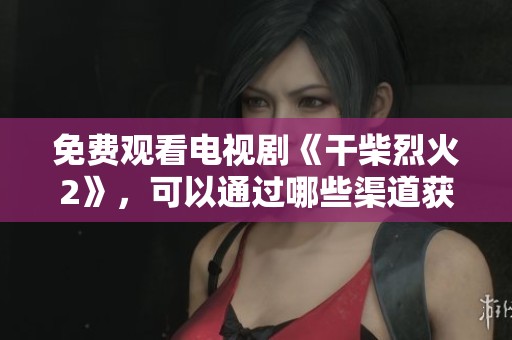 免费观看电视剧《干柴烈火2》，可以通过哪些渠道获取呢