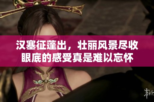 汉塞征蓬出，壮丽风景尽收眼底的感受真是难以忘怀