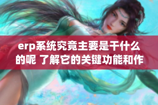erp系统究竟主要是干什么的呢 了解它的关键功能和作用其实很重要