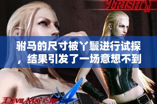 驸马的尺寸被丫鬟进行试探，结果引发了一场意想不到的风波