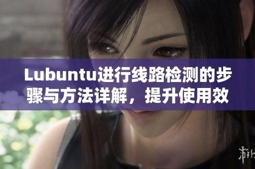 Lubuntu进行线路检测的步骤与方法详解，提升使用效率与稳定性