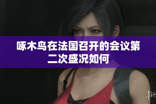 啄木鸟在法国召开的会议第二次盛况如何