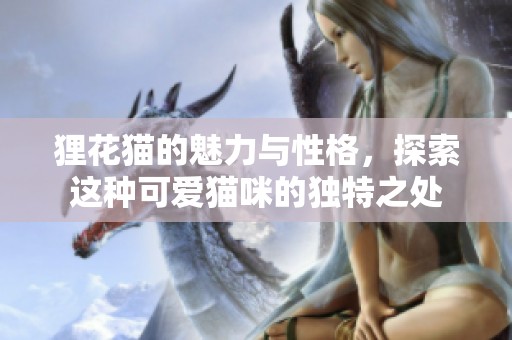 狸花猫的魅力与性格，探索这种可爱猫咪的独特之处