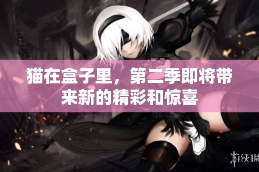 猫在盒子里，第二季即将带来新的精彩和惊喜