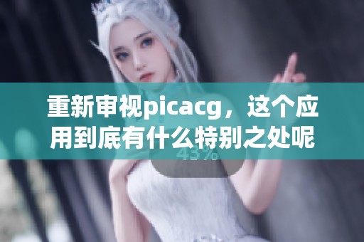 重新审视picacg，这个应用到底有什么特别之处呢