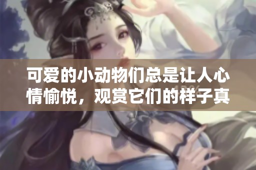 可爱的小动物们总是让人心情愉悦，观赏它们的样子真是太好玩了。
