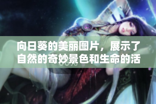 向日葵的美丽图片，展示了自然的奇妙景色和生命的活力
