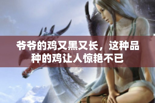 爷爷的鸡又黑又长，这种品种的鸡让人惊艳不已