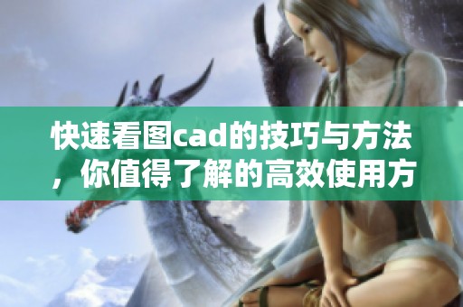 快速看图cad的技巧与方法，你值得了解的高效使用方式