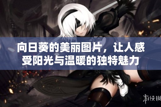 向日葵的美丽图片，让人感受阳光与温暖的独特魅力