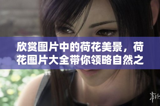 欣赏图片中的荷花美景，荷花图片大全带你领略自然之美