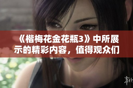 《楷梅花金花瓶3》中所展示的精彩内容，值得观众们认真观看与欣赏