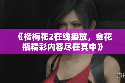 《楷梅花2在线播放，金花瓶精彩内容尽在其中》