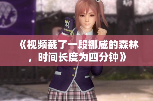 《视频截了一段挪威的森林，时间长度为四分钟》