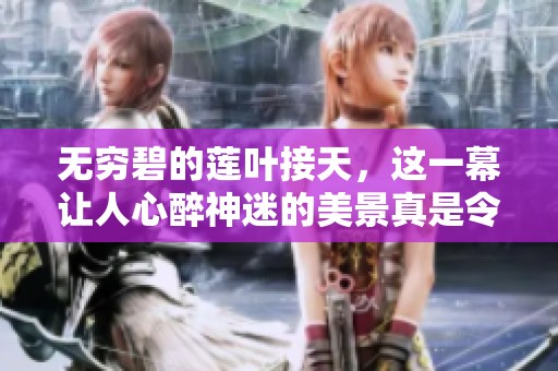 无穷碧的莲叶接天，这一幕让人心醉神迷的美景真是令人陶醉。