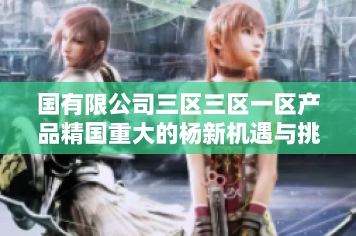 国有限公司三区三区一区产品精国重大的杨新机遇与挑战